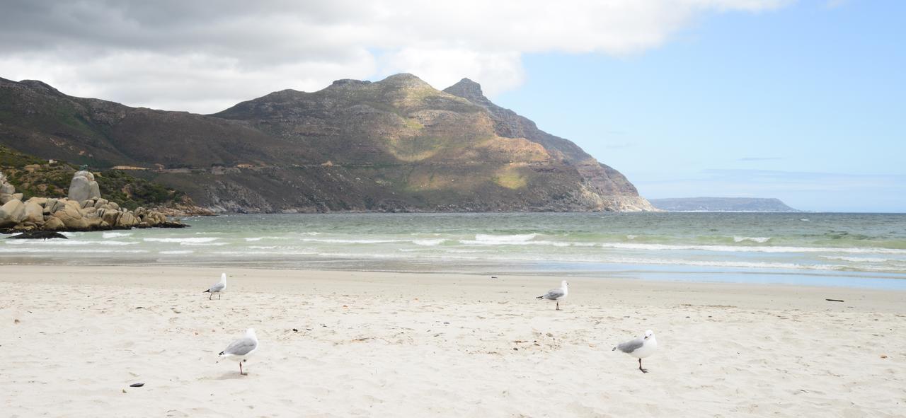 dk villas 1 Harbour View Hout Bay Exteriör bild